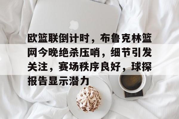 欧篮联倒计时，布鲁克林篮网今晚绝杀压哨，细节引发关注，赛场秩序良好，球探报告显示潜力的简单介绍-九游娱乐